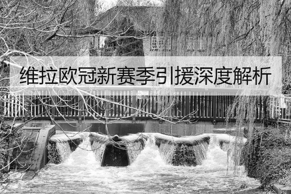 维拉欧冠新赛季引援深度解析